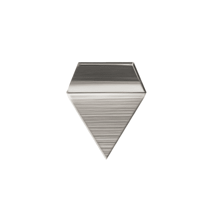 Pesa 1 mg Clase F1 de acero inoxidable | ELICROM